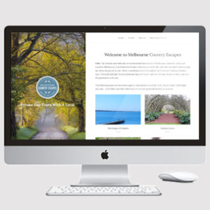 Tourism and travel website design